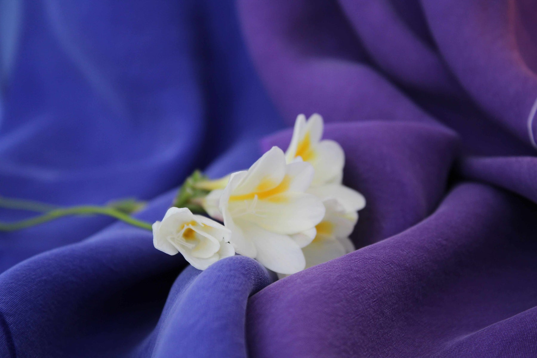 It's time to switch to sustainable fabric: Cupro