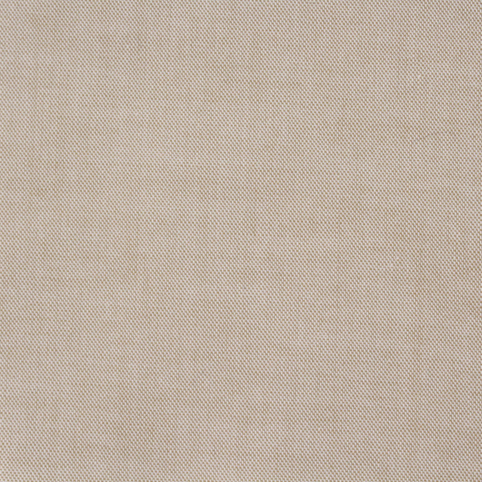 BCI Cotton Pinpoint for Shirts-Fabric-FabricSight