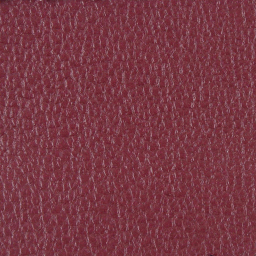 Engraved Faux (Vegan) Leather - Shiny - 17 Colors Available-Fabric-FabricSight