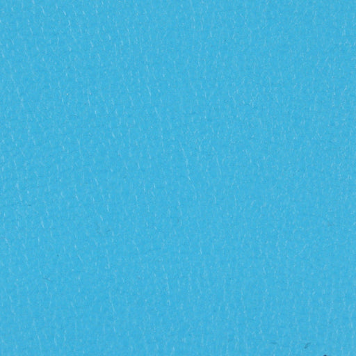 Engraved Faux (Vegan) Leather - Shiny - 17 Colors Available-Fabric-FabricSight