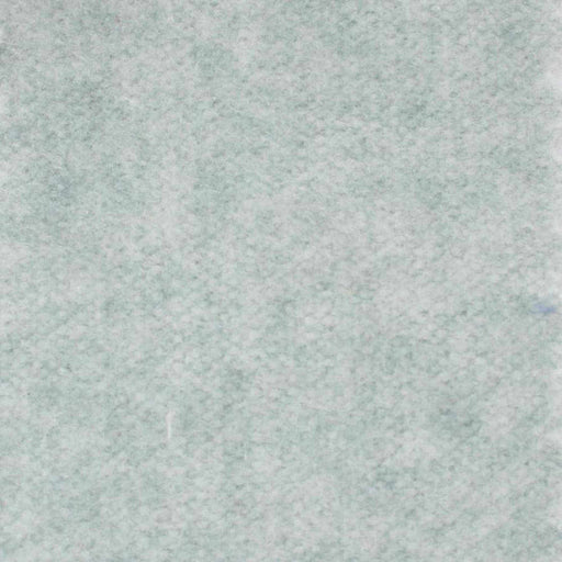 Felt for Winter Coats (Recycled Polyester) - Stretch-Roll-FabricSight