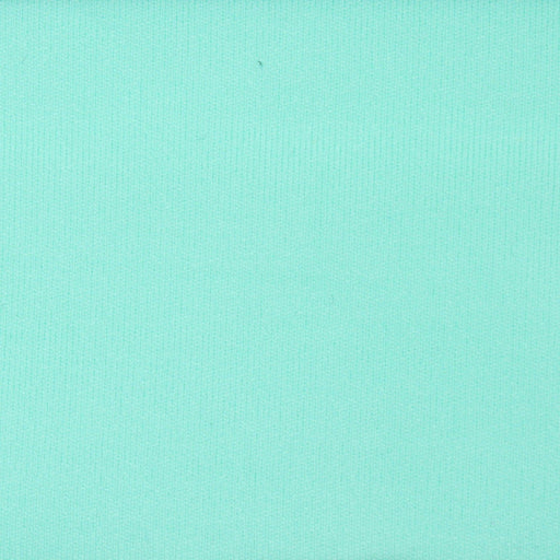 Lightweight Interlock Polyamide for Swimwear and Sportswear - 50 Colors Available-Roll-FabricSight