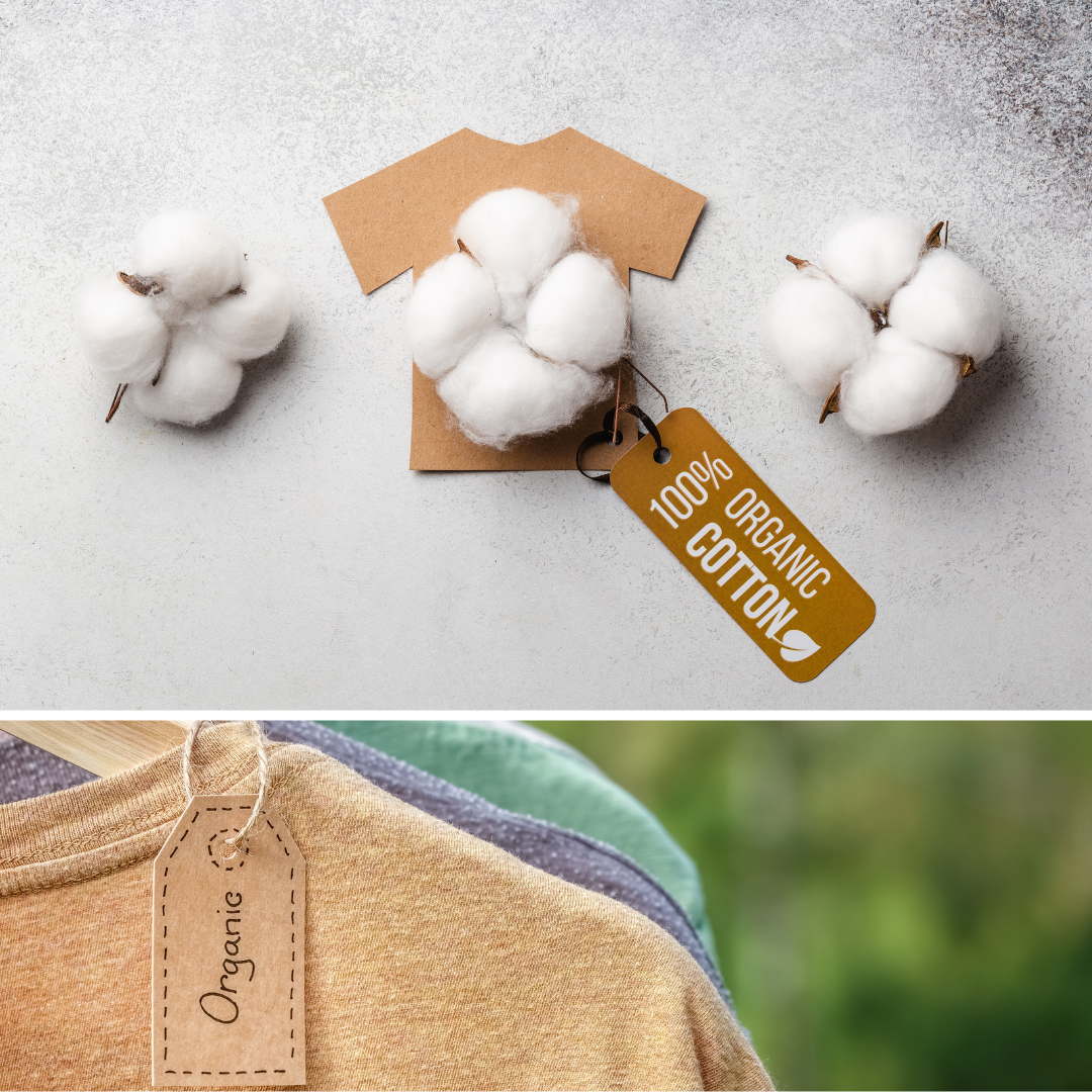 Organic Cotton ー Why Should We Make an Effort to Use It?