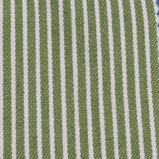 swatch-100% Cotton Thin Stripes Denim - Yarn Dyed-Fabric-FabricSight