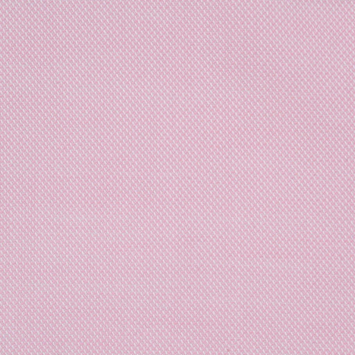 BCI Cotton Pinpoint for Shirts-Fabric-FabricSight