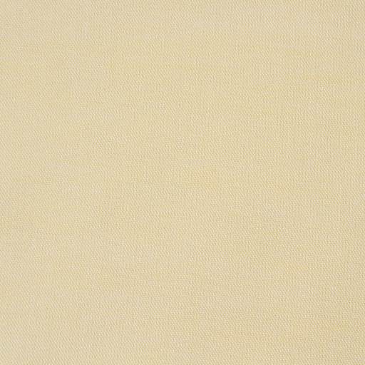 BCI Cotton Pinpoint for Shirts-Fabric-FabricSight