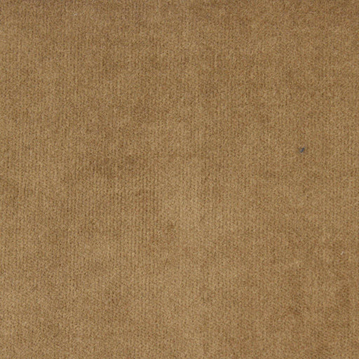 Cotton Stretch Woven Velvet-Fabric-FabricSight