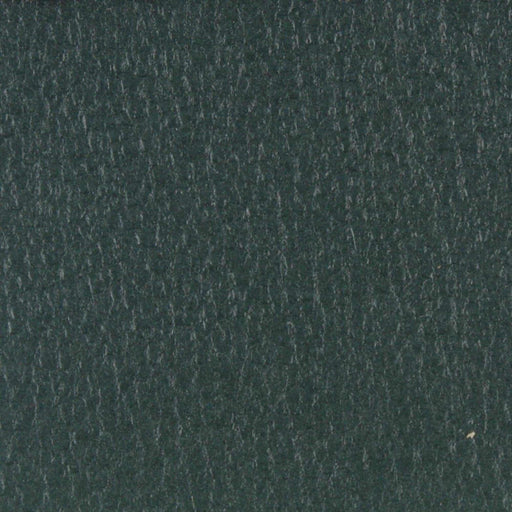 Engraved Faux (Vegan) Leather - Shiny - 17 Colors Available-Fabric-FabricSight