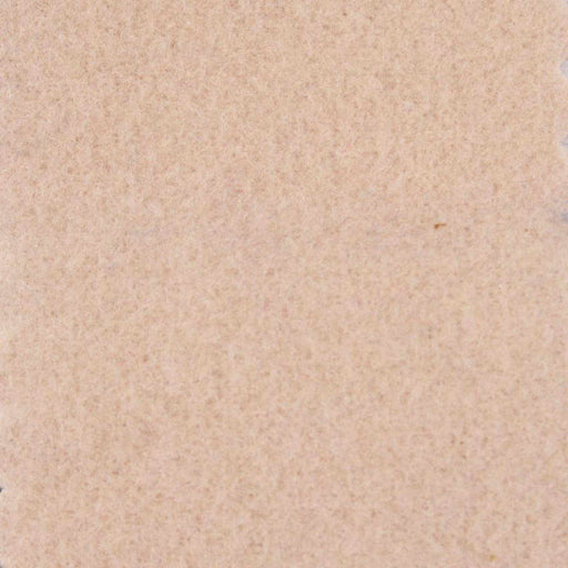 Felt for Winter Coats (Recycled Polyester) - Stretch-Roll-FabricSight