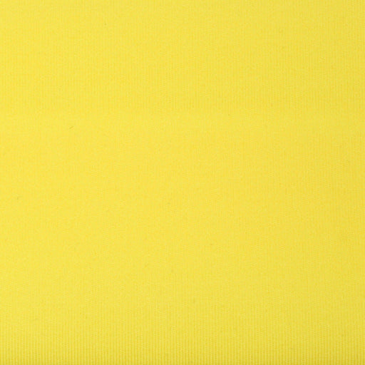 Lightweight Interlock Polyamide for Swimwear and Sportswear - 50 Colors Available-Roll-FabricSight