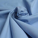 Lightweight Interlock Polyamide for Swimwear and Sportswear - Placid Blue - Remnant-Remnant-FabricSight