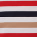 Multicolor Stripes Shirting-Fabric-FabricSight