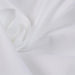 Non Iron Cotton Poplin 80/20 for Luxury Shirting-Fabric-FabricSight