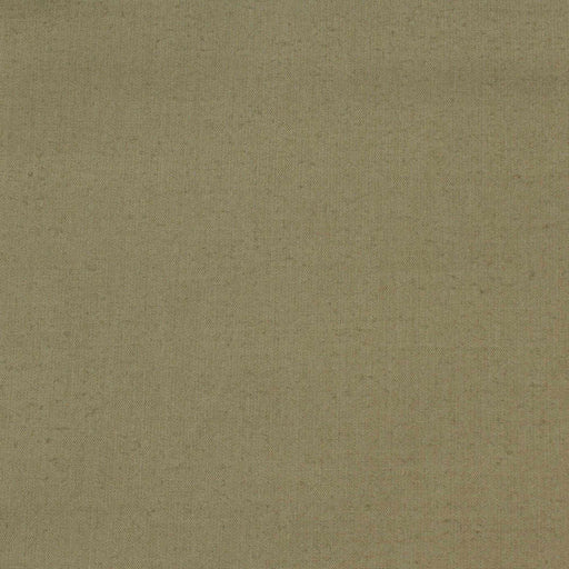 Pima Cotton Stretch Poplin for Shirting - 140 G/M2-Fabric-FabricSight