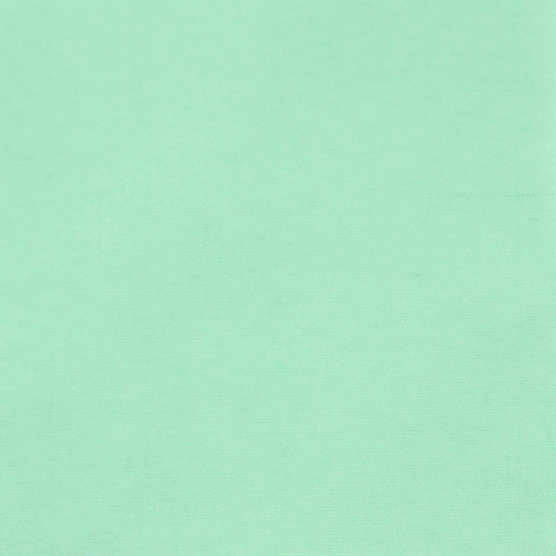 Shiny Technical Plain Fabric for Swim Shorts - NILIT® ECOCARE - Biodegradable Polyamide-Fabric-FabricSight