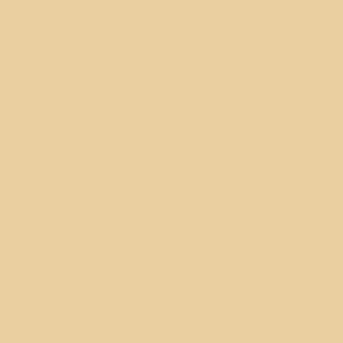 Silk Gauze Chiffon-Fabric-FabricSight