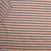 swatch-Linen-Viscose-Cotton Stripe – Multicolor – Spanish Deadstock-Fabric-FabricSight