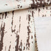 swatch-Printed Cotton Twill Fabric – 250 g/m² – Limited Edition-Fabric-FabricSight