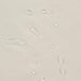 swatch-Waterproof Technical Fabric for Jackets - Stretch-Fabric-FabricSight